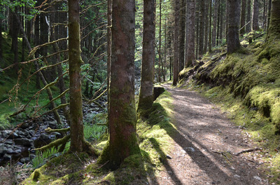 Walk photo
