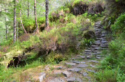 Walk photo
