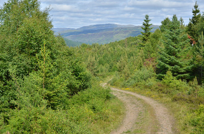 Walk photo