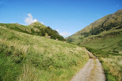 Walk photo
