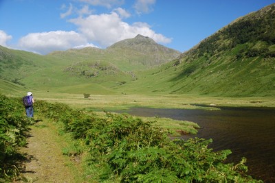 Walk photo