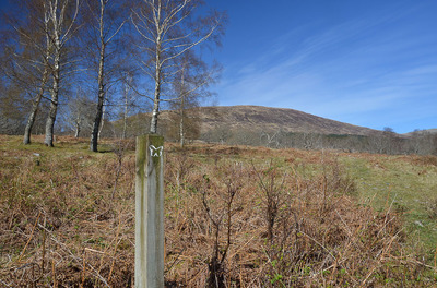 Walk photo