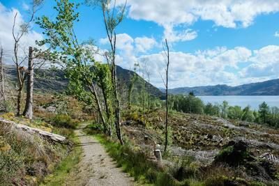 Walk photo