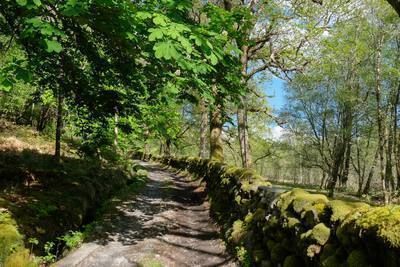 Walk photo