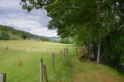 Walk photo