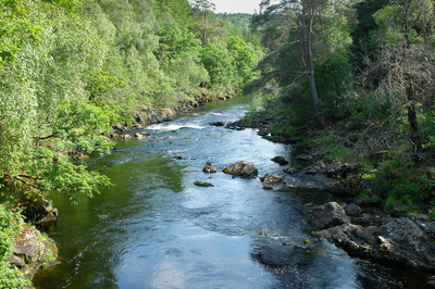 Walk photo