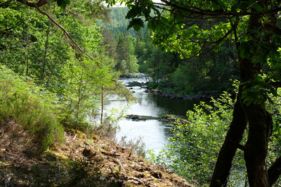 Walk photo