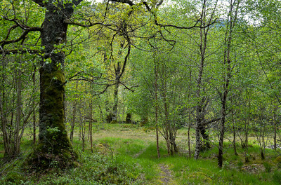 Walk photo