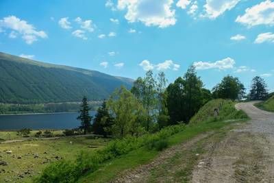 Walk photo