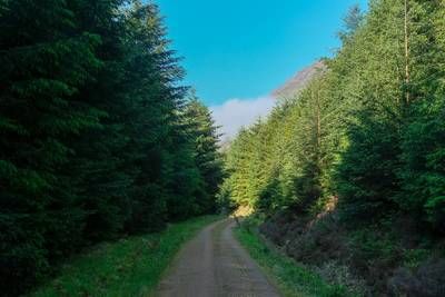 Walk photo