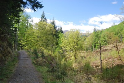 Walk photo