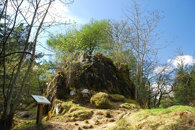 Walk photo