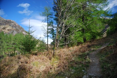 Walk photo