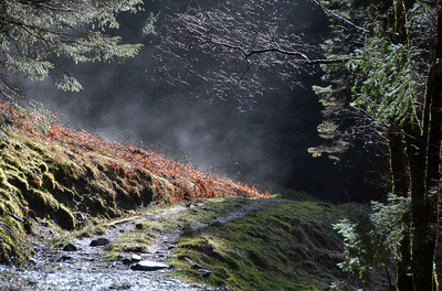 Walk photo