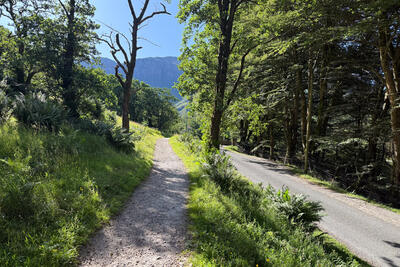Walk photo