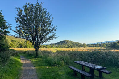 Walk photo