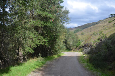 Walk photo