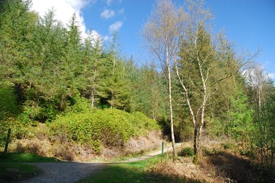 Walk photo