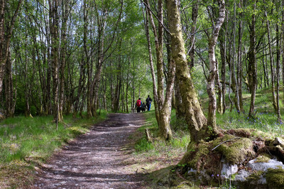Walk photo