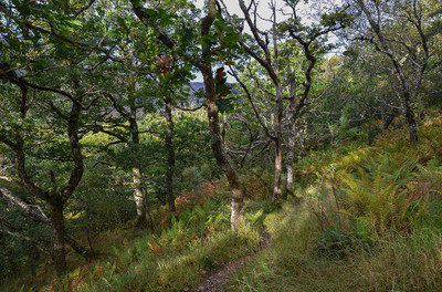 Walk photo