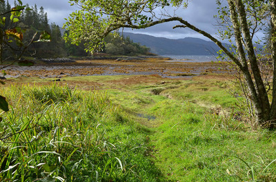 Walk photo
