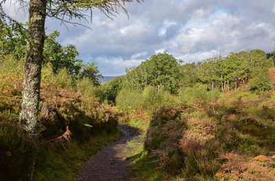 Walk photo