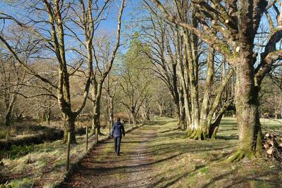 Walk photo