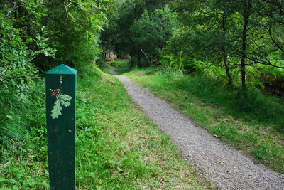 Walk photo