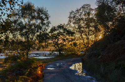 Walk photo