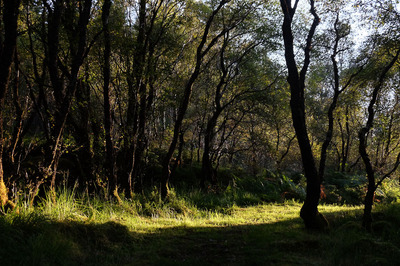 Walk photo