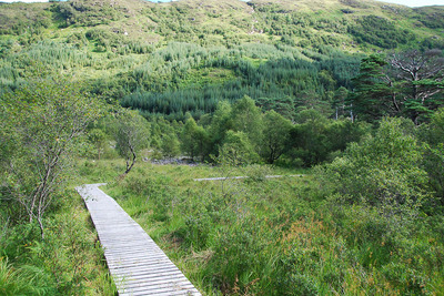 Walk photo