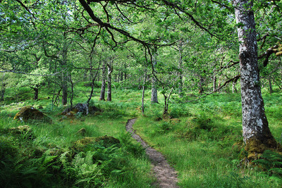 Walk photo