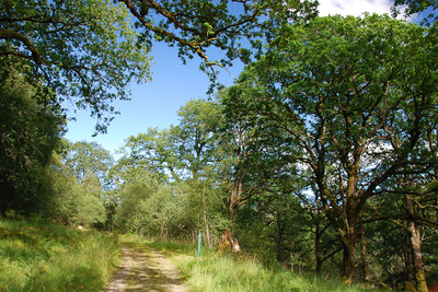 Walk photo