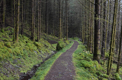 Walk photo