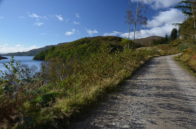 Walk photo