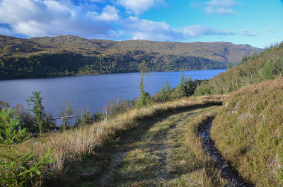 Walk photo