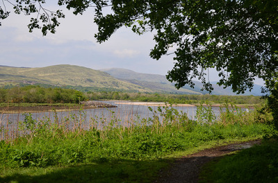 Walk photo