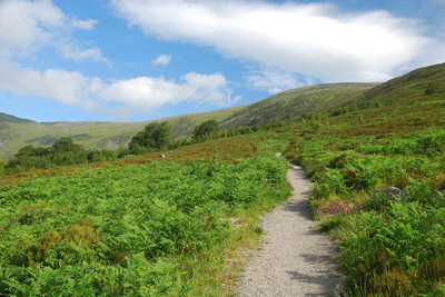 Walk photo