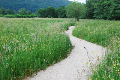 Walk photo