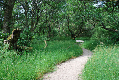 Walk photo