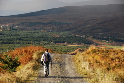 Walk photo