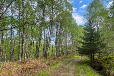 Walk photo