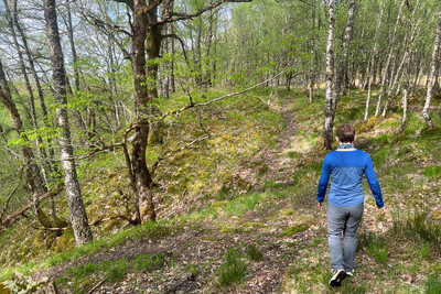 Walk photo