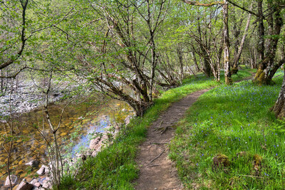 Walk photo
