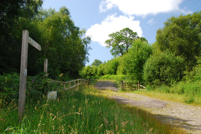 Walk photo