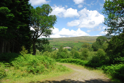 Walk photo