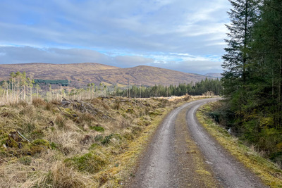 Walk photo