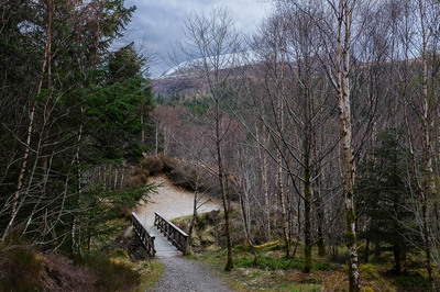Walk photo