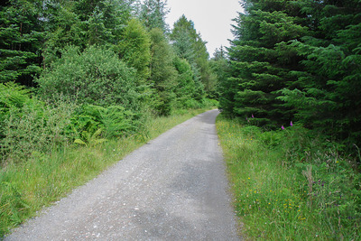 Walk photo