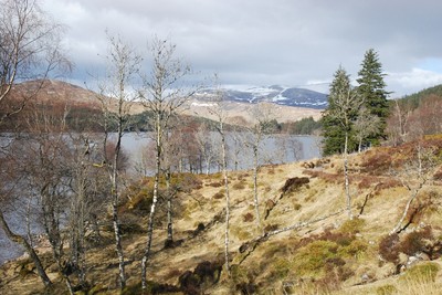 Walk photo